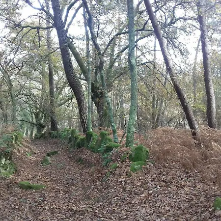 Casa Tras Do Rio Casa vacanze