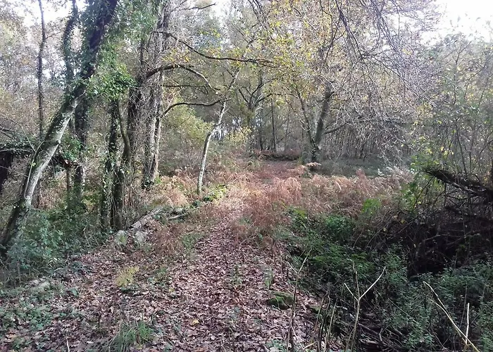 Casa Tras Do Rio Coles