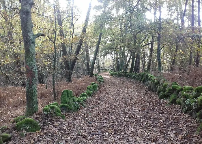 Casa Tras Do Rio Coles